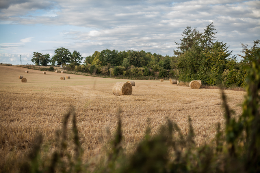 Fields-around-Dalhousie-Castle-Bonnyrig-Edinburgh