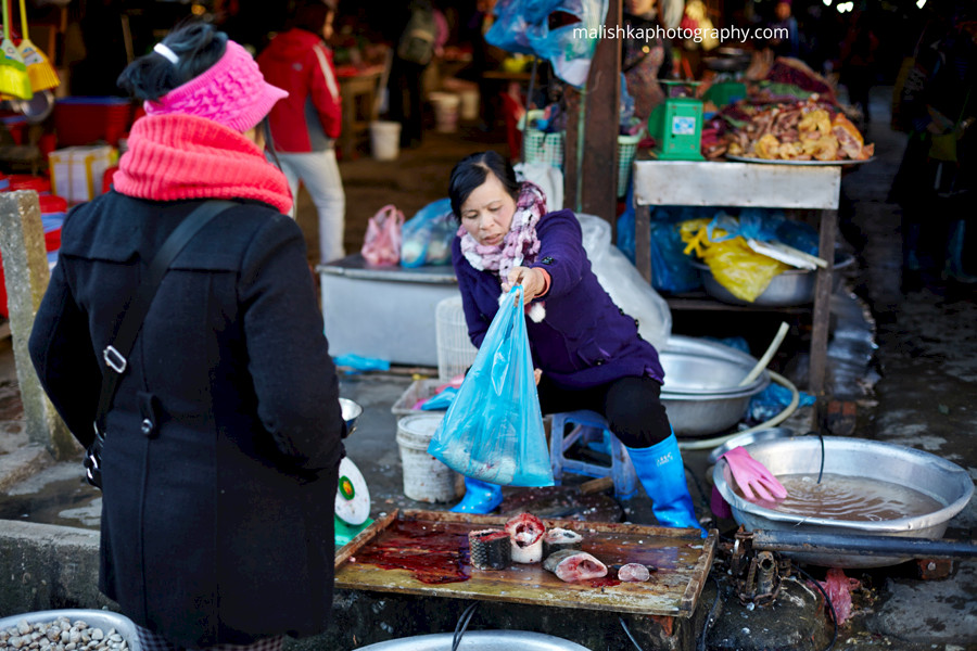 Fresh fish stand in Vietnam