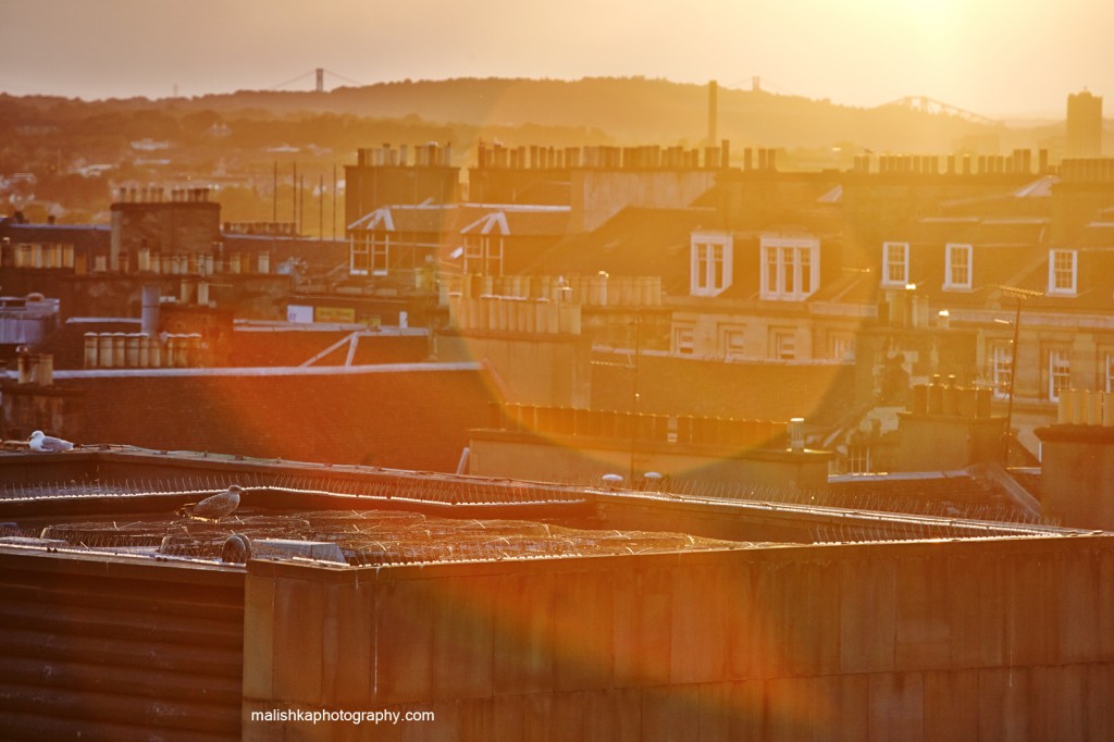 Sunset over city of Edinburgh with the birds resting in the roof tops